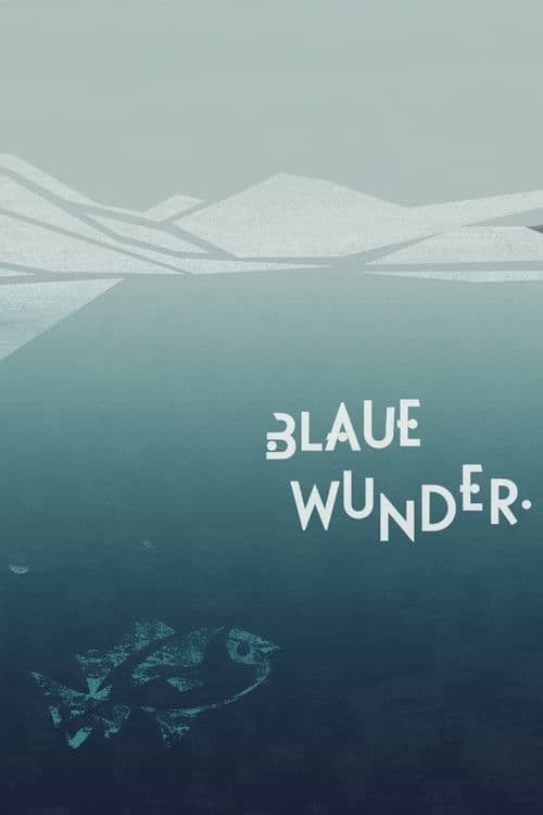 A Thousand Questions and One Miracle