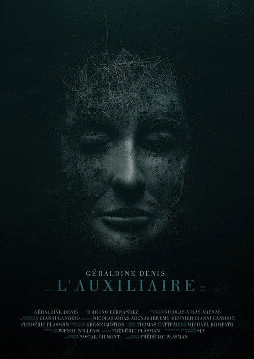 L'auxiliaire
