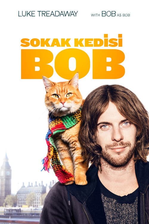Sokak Kedisi Bob