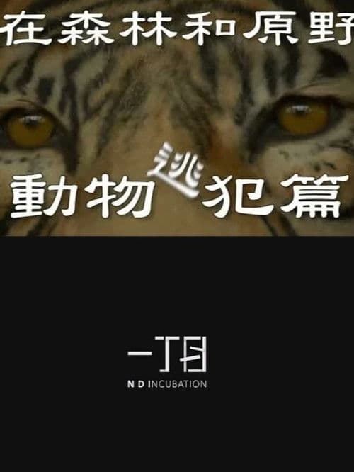 在森林和原野-動物逃犯篇