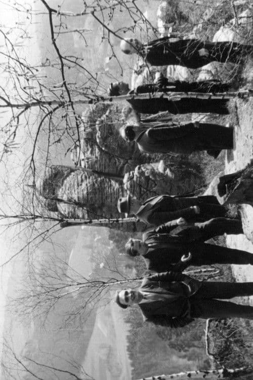 Die Sieben vom Rhein