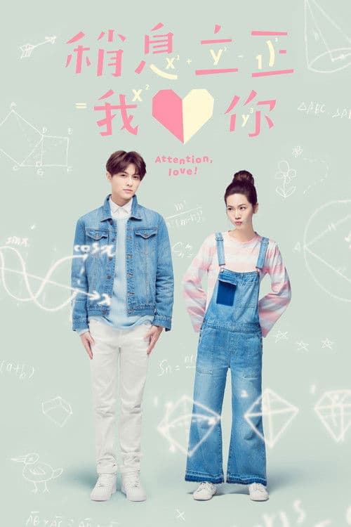 稍息立正我愛你